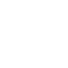 Disfruta de la diversión y la emoción